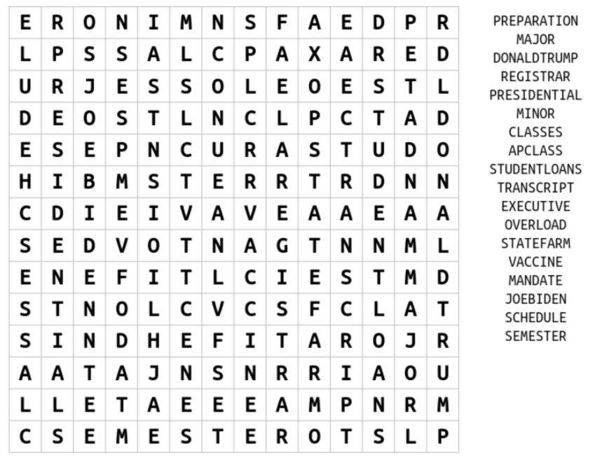 Opinions Section Word Search