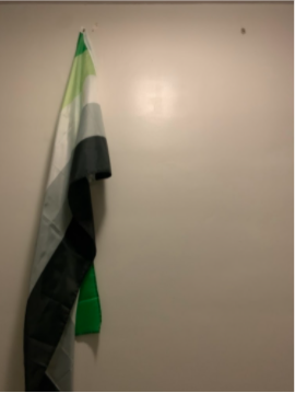  Photos from the morning of October 15, 2021, around 4:07 am. The Aromantic pride flag left hanging after being partially torn down. Just one of the many incidents that has occured on the Rainbow Floor.
Photos by Connie Kim.
